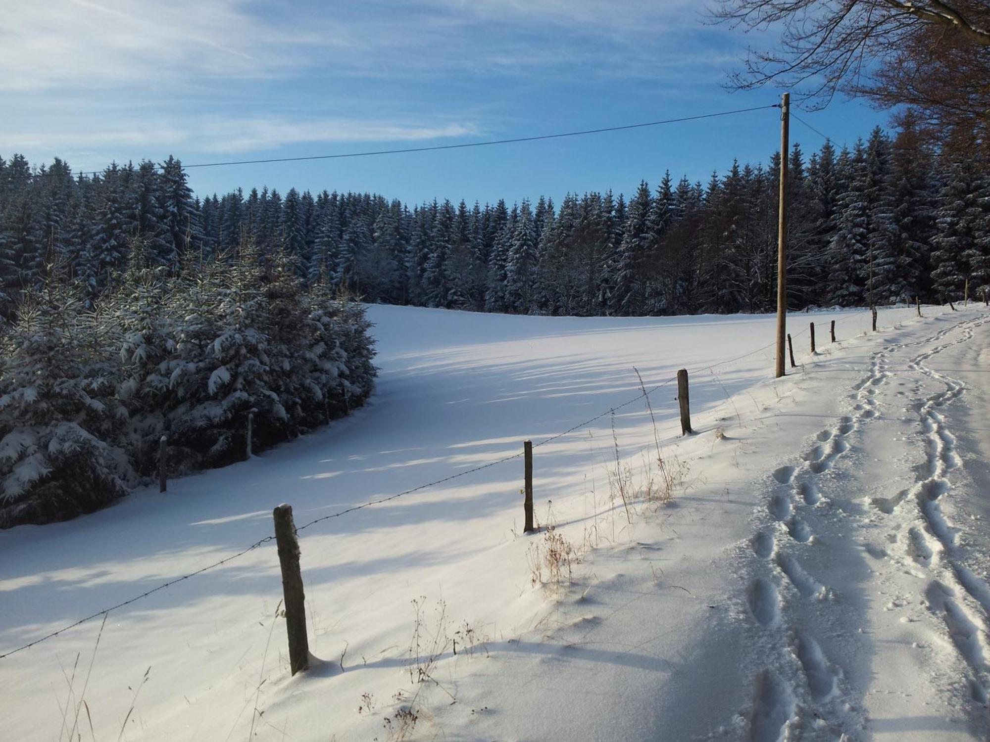 Landgasthof Nesselbach Nordenau Dış mekan fotoğraf