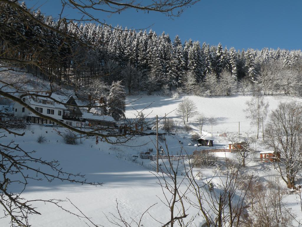 Landgasthof Nesselbach Nordenau Dış mekan fotoğraf