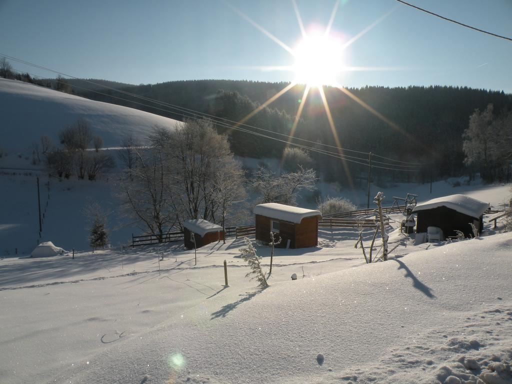 Landgasthof Nesselbach Nordenau Dış mekan fotoğraf