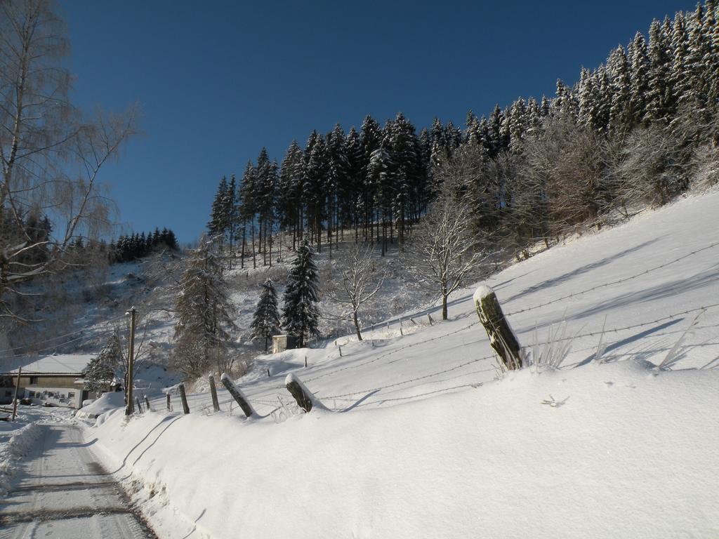 Landgasthof Nesselbach Nordenau Dış mekan fotoğraf